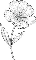 Fototapeta premium Hand drawn white flower illustration isolated on a white background with a simple floral sketch design