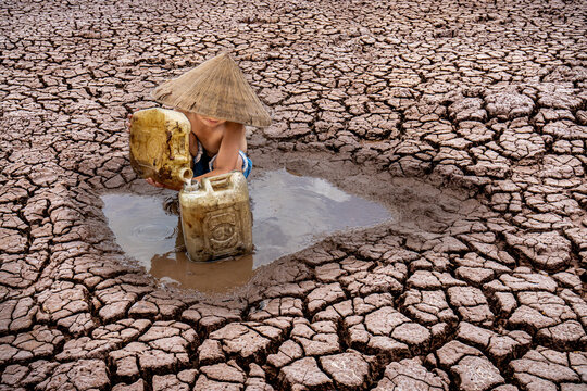 View of a person with conical hat desperately collecting water in plastic containers from a diminishing pool on cracked earth, Bac Lieu, Mekong Delta, Vietnam.