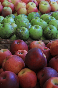 manzana variedad de clase a la venta en el mercado rural pa&iacute;s vasco 4M0A1319-as26