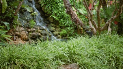 Obraz premium Lush greenery with bokeh effect capturing a serene tropical resort's vibrant outdoor landscape featuring blurred foliage and cascading waterfall in luxury hotel setting.