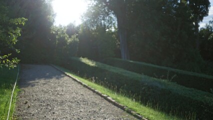 Fototapeta premium Sunlit gravel path flanked by trimmed hedges and blurred trees, softly defocused garden background; background backdrop copyspace calm.