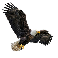 Fototapeta premium Majestic bald eagle in flight, displaying power and grace isolated on transparent background