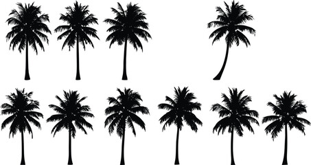 Collection of black palm tree silhouettes in various shapes isolated on white background for tropical design projects