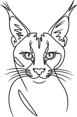 Obraz premium One Line of a Caracal Face with Fading Effect line fading effect