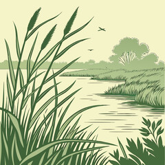 Obraz premium Wetland with Reeds and Water Lines - Natural Ecosystem Vector