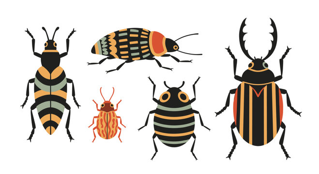 Set of five stylized beetles and bugs with colorful and intricate patterns isolated on a clean white background vector.