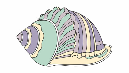 Colorful Seashell Illustration