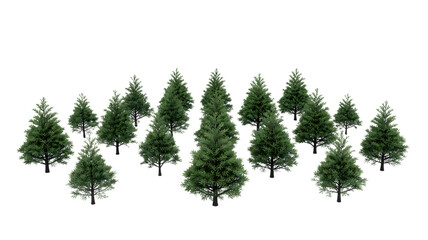 Obraz premium A group of pine trees isolated on white background for design transparent background