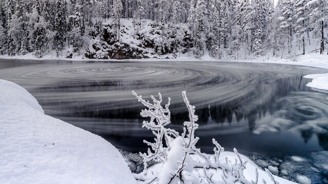 View of icy swirls dance across the dark waters, framed by snow-laden evergreens, in a serene winter landscape, Myllykoski, Oulanka national park, Finland.