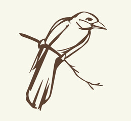 Obraz premium Vector drawing. Bird on white sky backdrop.