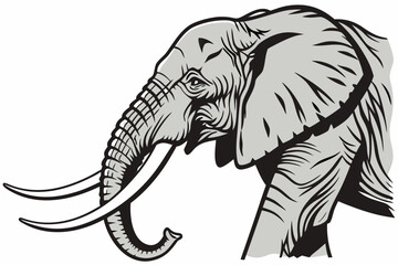 black and white elephant