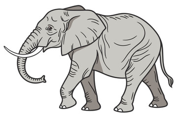 elephant isolated on white background