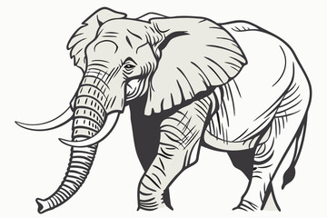 elephant vector illustration