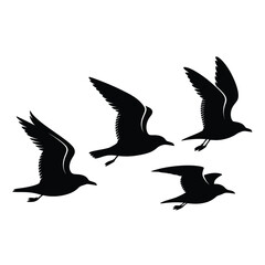 Four silhouettes of birds in flight wings outstretched and soaring
