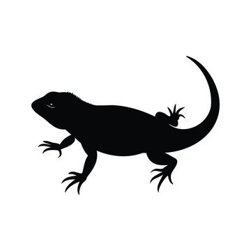 Basilisk lizard silhouette vector design, Black and white silhouette of a lizard vector illustration, A simple black and white silhouette of a lizard in a vector illustration