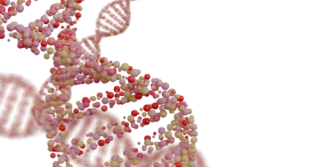 Abstract 3D digital DNA helix structure background. Transparent background. 3D rendering.