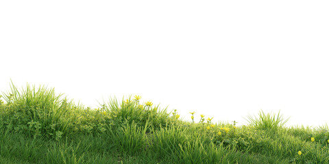 Verdant Hill Blooming with Yellow Flowers in Spring. 3D render.	
