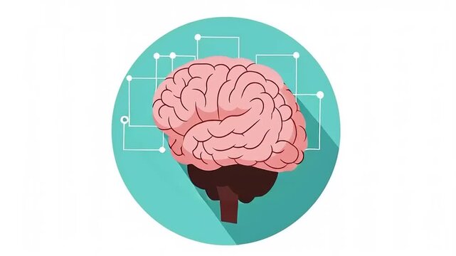 Human Brain Anatomy Illustration Animation.