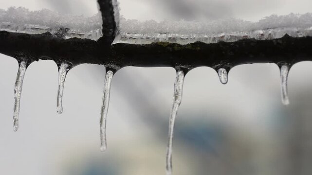 A row of icicles hanging from a frozen branch.