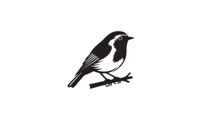 Fototapeta premium Black and white magpie bird perched isolated on transparent background