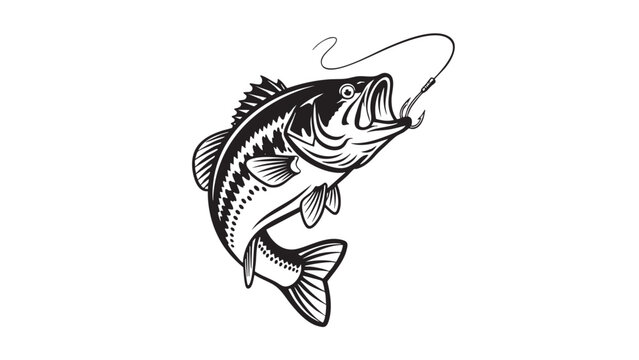 Detailed illustration of a striped bass fish caught on fishing line