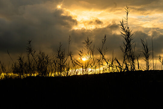 Espiritualidade, por do sol. Longevidade