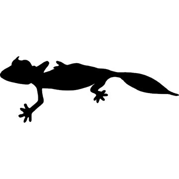 Leaf-tailed Gecko Silhouettes