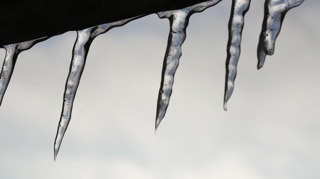 A row of icicles hanging from the roof.