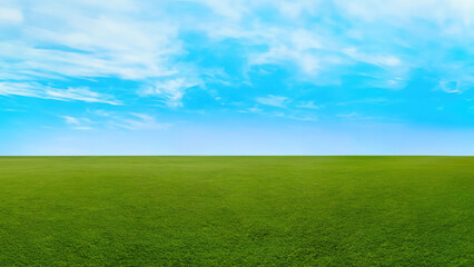 Fototapeta premium grass and sky
