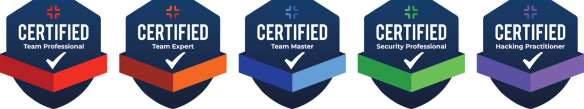 Set of Colorful Certified Professional Shield Badges Vector Icons