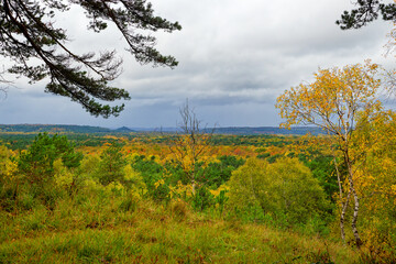 Obraz premium Hurlevent viewpoint in Fontainebleau forest. Île-de-France region 