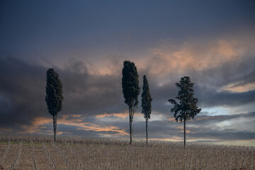Campagna laziale presso Paliano - Frosinone -Lazio - Italia