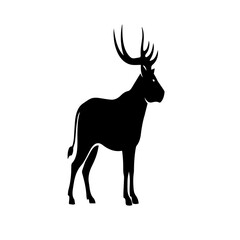 Obraz premium Silhouette of horned deer standing on white background for nature design and wildlife illustration