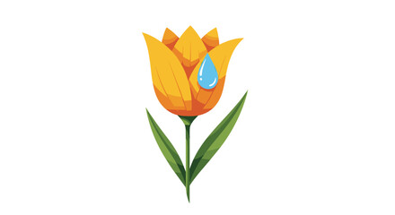 Colorful tulip flower with water droplet petals and green leaves