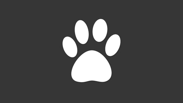 Paw Print Symbol: A clean, crisp white paw print stands out against a subdued backdrop, symbolizing animal presence.