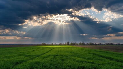 Obraz premium Sun beams break through dark clouds, lighting a lush green field in a flat rural landscape. Concept Sunbeams, Dark Clouds, Lush Green Field, Flat Rural Landscape, Golden Hour Lighting