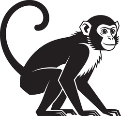 Fototapeta premium Stylized monkey silhouette vector illustration in crouching pose with curled tail, minimalist black and white design, suitable for logos, icons, education, and creative stock imagery
