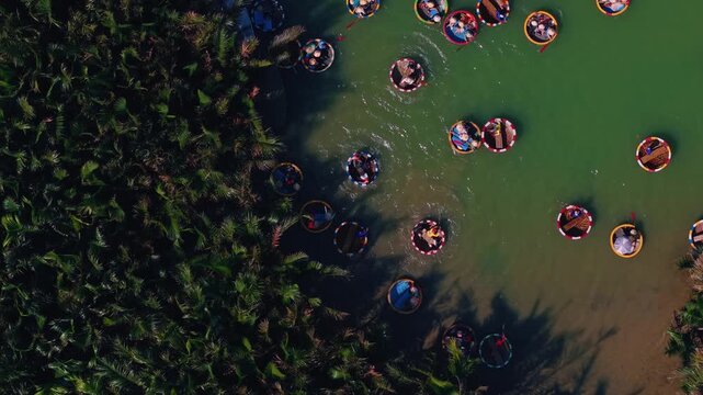Aerial view Bamboo basket boats with tourist are spinning in waterways surrounded by coconut tree Hoi An, Vietnam adventure travel.