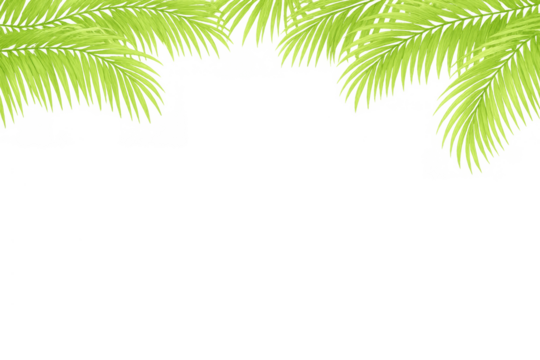 Palm leaves forming tropical header creating a natural border, fresh green foliage for summer backgrounds, transparent - Powered by Adobe