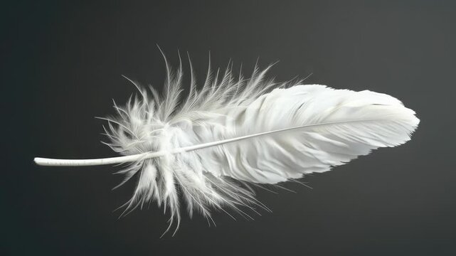 A single white feather sits alone on a dark black surface