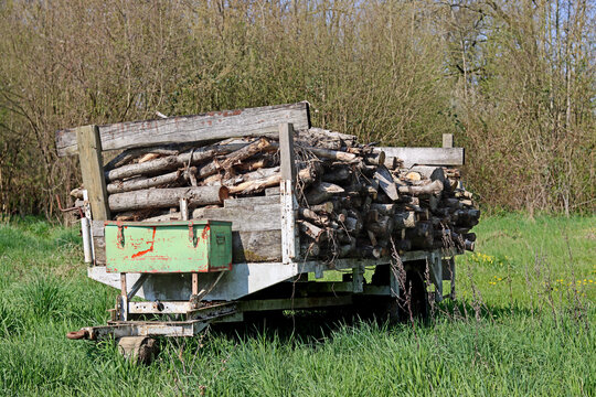 le bois sur la remorque