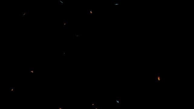 Colorful Butterflies Flying on Black Background &ndash; Nature & Freedom Motion