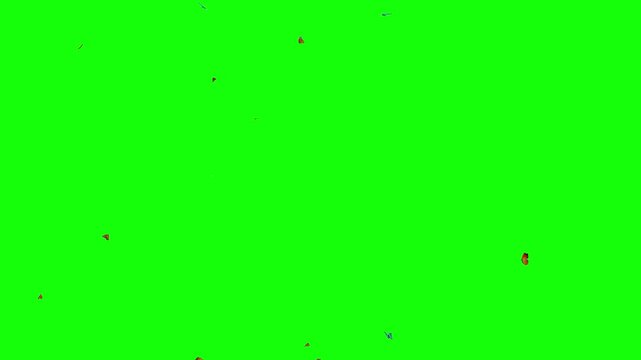 Flying Butterflies on Green Screen Background &ndash; Colorful Butterfly Swarm Chroma Key Animation
