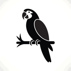 Fototapeta premium Black and white parrot perched on a branch with rings bird
