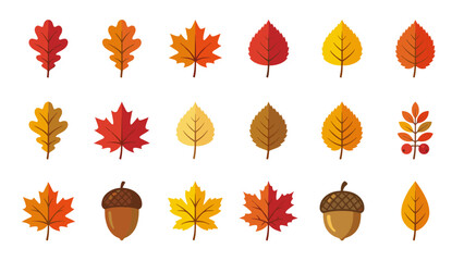 Obraz premium Flat Vector Icon Set of Autumn Leaves and Acorns Isolated on White. Colorful Collection of Maple, Oak, and Birch Foliage in Red, Orange, and Yellow Tones for Fall Season Design and Projects.