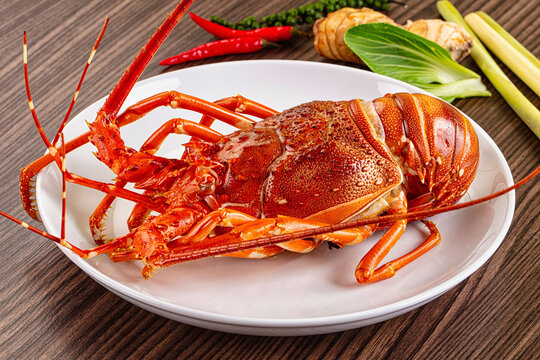 Delicous expensive Steamed omar lobster