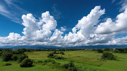 Obraz premium Majestic panorama of clear sky with gentle clouds over vibrant green fields