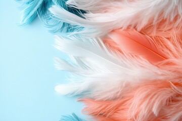 Fototapeta premium Colorful feathers create a soft and dreamy natural backdrop