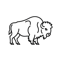 Black and white line of a bison standing line black and white animal wildlife mammal