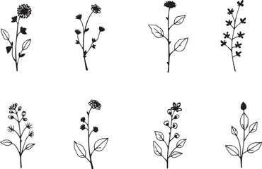 Fototapeta premium A set of plants